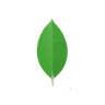 MongoDB